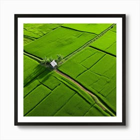 Grow Plant Green Background Field Aerial Landscape Pattern Agriculture Grass Harvesting C (3) Art Print