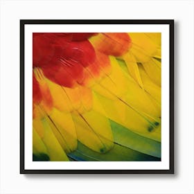 Parrot Feathers Art Print