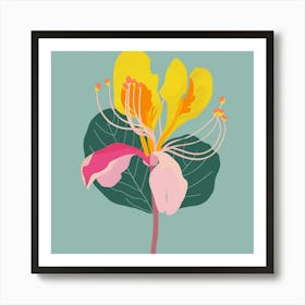 Peacock Flower 1 Square Flower Illustration Art Print