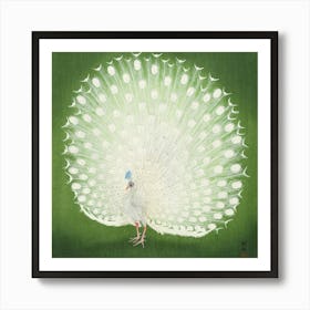 Peacock 3 Art Print