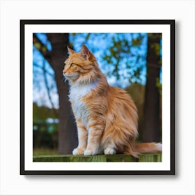 Orange Cat Sitting On Fence Art Print