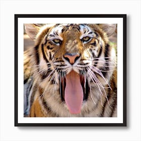 Tiger Face II Art Print