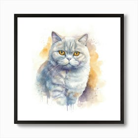 British Shorthair Persian Cat Portrait 3 Art Print