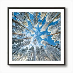 Snowy Forest 6 Art Print