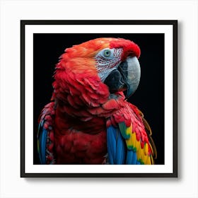 Red Macaw Art Print