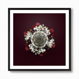 Vintage Allium Straitum Flower Wreath on Wine Red n.1685 Art Print