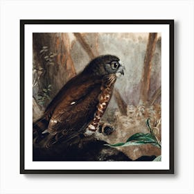 Hawk Owl Art Print