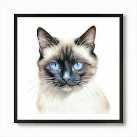 Snowshoe Cat Portrait 3 Art Print