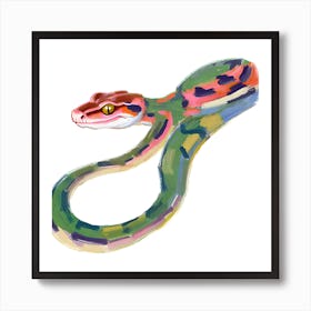 Red Tailed Boa Snake 05 Poster