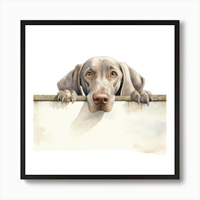 Weimaraner Dog 1 Art Print