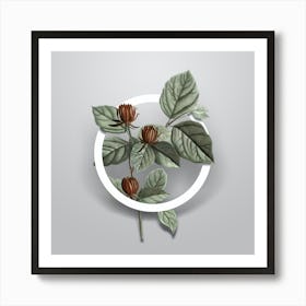 Vintage Carolina Allspice Flower Minimalist Botanical Geometric Circle on Soft Gray n.0482 Art Print