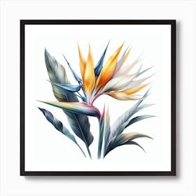 Flower of Bird of Paradise 1 Art Print