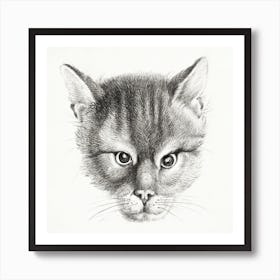 Sketch Of A Cat 2, Jean Bernard Art Print