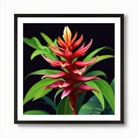 Alpines Purpurate Red Ginger Flower Art Print Art Print