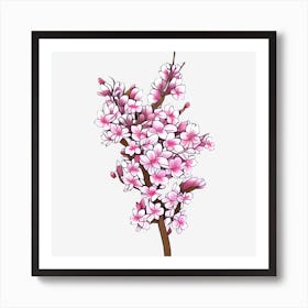 Cherry Blossoms 1 Art Print