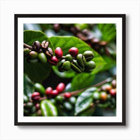 Coffee Beans On A Tree 25 Art Print