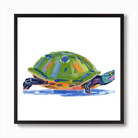 Painted Turtle 04 Art Print