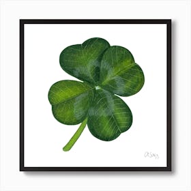 Clover Art Print