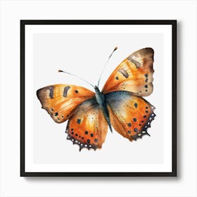 Orange Butterfly Art Print