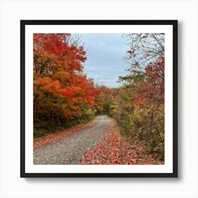 A Crisp American Autumn Scene Unfolds Embodying The Quiet Beauty Of A Fall Nature Trail Transitioni (3) 1 Art Print