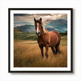 Horse In A Field Art Print