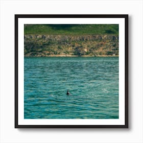 Dolphins In The Sea Art Print