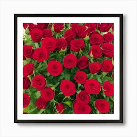 Red Roses Art Print