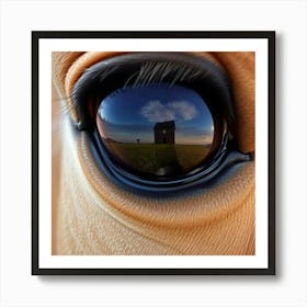 Horse'S Eye 6 Art Print