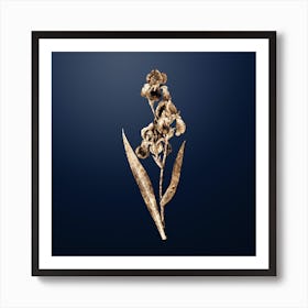 Gold Botanical Dalmatian Iris on Midnight Navy n.0111 Art Print