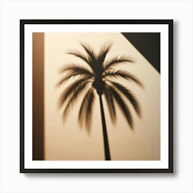 Shadow Of Palm Tree 3 Art Print