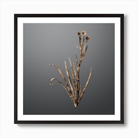 Gold Botanical Bermudiana on Soft Gray Art Print