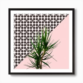 Dracaena Plant on Pink and Lattice Pattern Wall Art Print