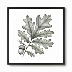 Line Art oak leaves 1 Art Print