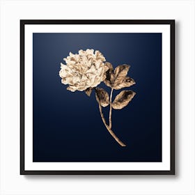 Gold Botanical Tree Peony on Midnight Navy n.2651 Art Print