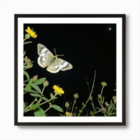 Butterfly At Night 1 Art Print