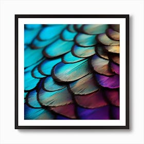 Colorful Feathers Art Print