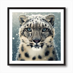 Snow Leopard 1 Art Print