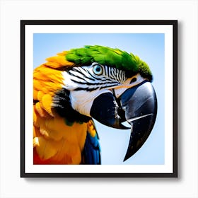 Colorful Parrot 2 Art Print