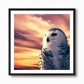 Snowy Owl 2 Art Print