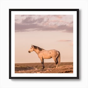 Wild Horse Sunset Square Art Print