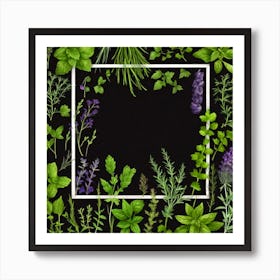 Frame With Herbs On Black Background 2 Art Print