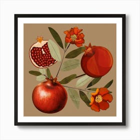 Pomegranate Botanical Art Art Print
