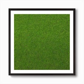 Green Grass 16 Art Print