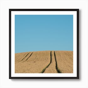 Field Of Barley Art Print