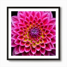 Vibrant pink dahlia flower 2 Art Print