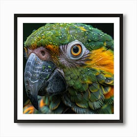 Portrait Of A Parrot 4 Poster