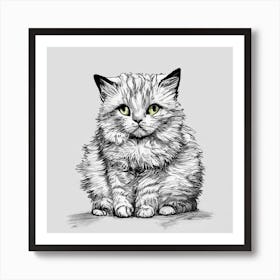 British Shorthair Kitten Art Print