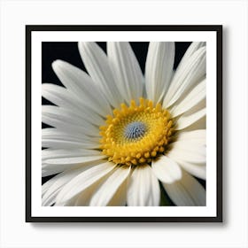 Daisy 4 Art Print