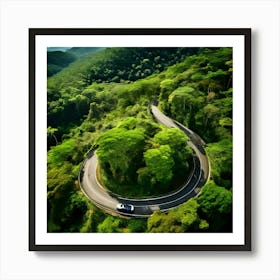 Treetop Car Scenic Tour Tourism Country Rural Green Zigzag Drive Road Background Topview (10) Art Print