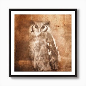 Owl Art Print